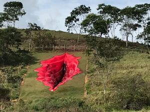 Patung Vagina Raksasa Hebohkan Brasil Patung Vagina Raksasa Hebohkan Brasil