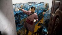 Potret Haru Hidup Wanita yang Pelihara 1.300 Anjing dan 100 Kucing Terlantar