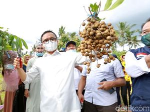 Tingkatkan Ketahanan Pangan, Bupati Anas Dorong Warga Manfaatkan Pekarangan