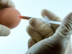 Ayah di Bekasi Perkosa Anak 20 Kali, Veronica Tan Singgung Hukuman Kebiri