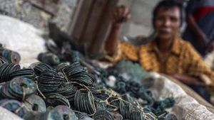 Ini Ribuan Keping Uang Kuno yang Ditemukan Petani di Pekalongan