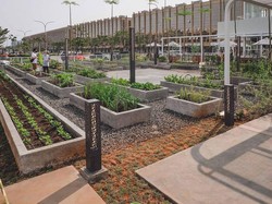 Ada Kebun Hijau Instagramable di Tengah PIK