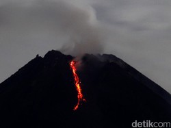 Gunung Merapi Muntahkan Lava Pijar 15 Kali Hari Ini