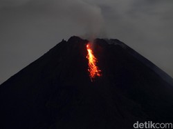 Merapi Muntahkan 7 Kali Awan Panas Sejak Masuk Fase Erupsi 2021