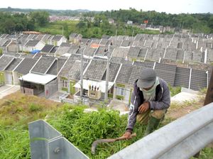 Dalam Empat Bulan, Laba Bank BTN Melesat 52% Dalam Empat Bulan, Laba Bank BTN Melesat 52%