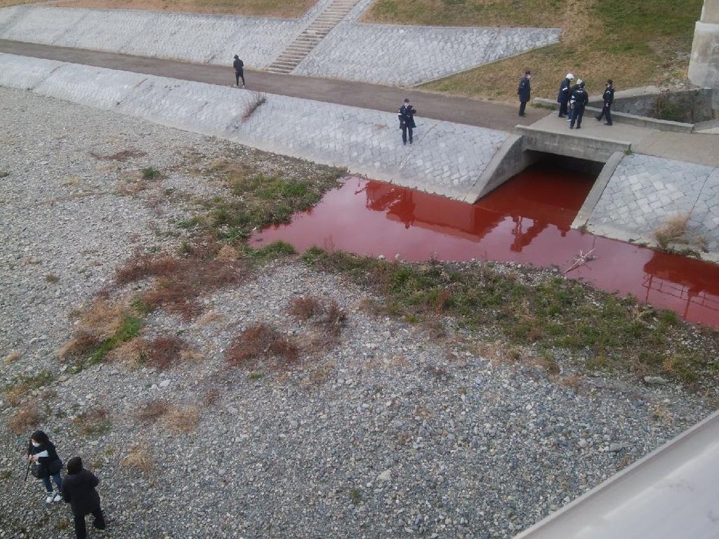 Sungai di Kyoto Berubah Warna Merah Darah, Belum Tahu Kenapa