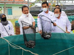 Trenggono Mau Genjot Ekspor Perikanan Pakai Jurus Ini, bakal Efektif?
