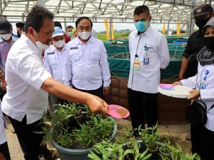 Pemanfaatan Pakan Ikan Mandiri Dinilai Mampu Tekan Biaya Produksi