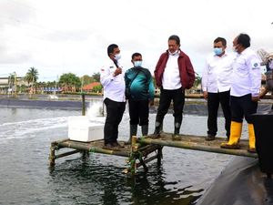 KKP Bakal Tingkatkan Ekspor Udang ke AS dan China Hingga 250%