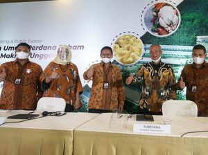 Widodo Makmur Unggas Gelar IPO
