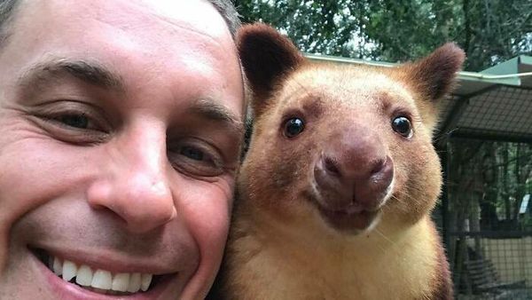 Ketika Zookeeper Seru-seruan dengan Satwa yang Dijaganya