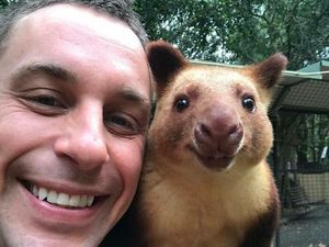 Ketika Zookeeper Seru-seruan dengan Satwa yang Dijaganya