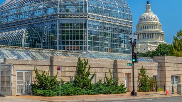 Capitol Hill Washington Washington DC: The United States Botanic Garden Conservatory, one of the oldest botanic gardens in North America and the Capitol building in background. Independence Avenue.
