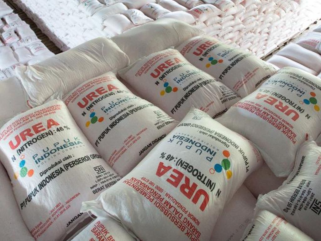 Pupuk Subsidi Kerap Dikeluhkan Langka, Ini Jumlah Produksinya Pupuk Subsidi Kerap Dikeluhkan Langka, Ini Jumlah Produksinya