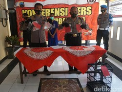 Pencuri Kambuhan, Pria Purbalingga Tertangkap Saat Curi Burung Tetangga