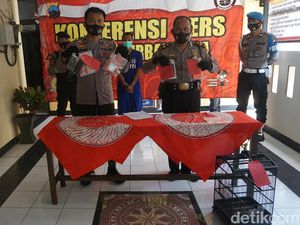 Pencuri Kambuhan, Pria Purbalingga Tertangkap Saat Curi Burung Tetangga Pencuri Kambuhan, Pria Purbalingga Tertangkap Saat Curi Burung Tetangga