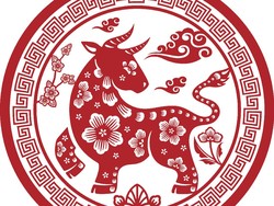 Ramalan Shio Kerbau Tahun 2022, Ada Banyak Peluang dan Rezeki Lancar