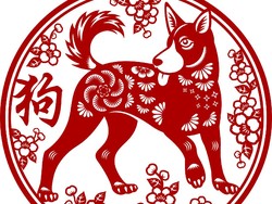 Ramalan Shio Anjing 2022: Siap-siap Raih Kesuksesan Karier dan Cinta