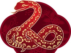 Ramalan Shio Ular Tahun 2025: Karier, Cinta, Keuangan, dan Kesehatan