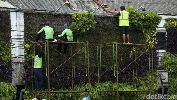 Taman Vertikal Tugu Tani Dipercantik