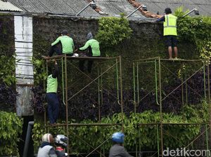 Taman Vertikal Tugu Tani Dipercantik