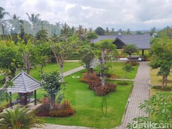 Weekend Seru dengan Suasana Beda, Ada Kafe Seluas 2 Hektar di Banyuwangi