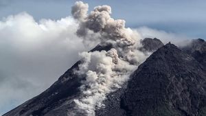 Gunung Merapi Muntahkan Awan Panas