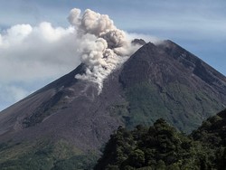 Merapi Erupsi Pagi Ini, Muntahkan Awan Panas Sejauh 1,5 Km