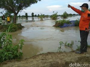 Ratusan Hektar Tambak di Lamongan Terendam Banjir Dampak Tanggul Jebol
