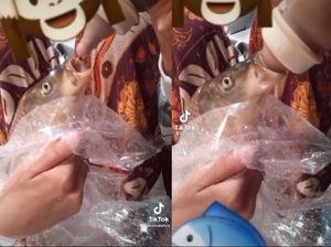 Kocak! Wanita Ini Susui Ikan Peliharaannya Pakai Botol Susu