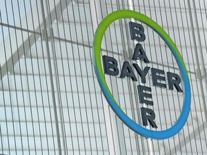 Pembuat Vaksin CureVac Gandeng Raksasa Farmasi Jerman Bayer AG Pembuat Vaksin CureVac Gandeng Raksasa Farmasi Jerman Bayer AG