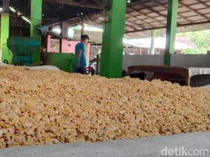 Harga Kedelai Melambung, Pengusaha Tempe dan Tahu di Banyuwangi Menjerit Harga Kedelai Melambung, Pengusaha Tempe dan Tahu di Banyuwangi Menjerit
