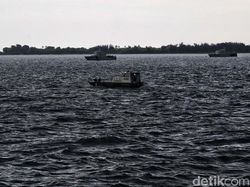 2 Penyelam Pramuka Bantu Basarnas Evakuasi Korban Sriwijaya Air