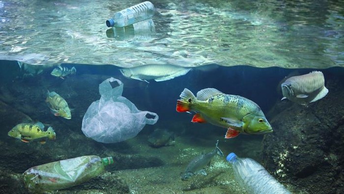 Ekspedisi BRIN Telusuri Laut Indonesia, Misi Cari Jejak Mikroplastik Selama Sebulan!