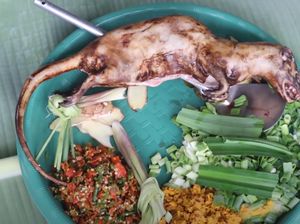 Wow! YouTuber Ini Masak Daging Tikus Bambu di Tengah Hutan Wow! YouTuber Ini Masak Daging Tikus Bambu di Tengah Hutan