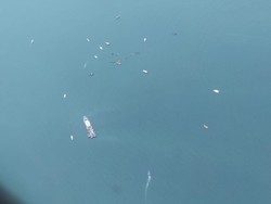 Tim SAR Perluas Area Pantauan Udara Cari Sriwijaya Air SJ182