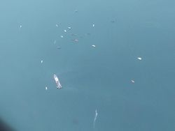 Polisi: Nelayan Lihat Air Laut Naik 15 Meter Saat Sriwijaya Air Jatuh