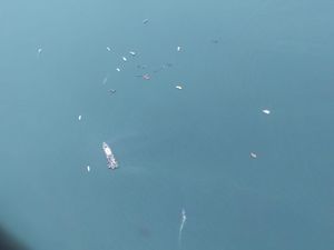Polisi: Nelayan Lihat Air Laut Naik 15 Meter Saat Sriwijaya Air Jatuh Polisi: Nelayan Lihat Air Laut Naik 15 Meter Saat Sriwijaya Air Jatuh