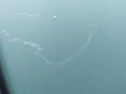 TNI AU Lihat Anomali Warna Laut dan Serpihan Diduga Sriwijaya Air SJ182