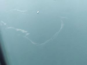 TNI AU Lihat Anomali Warna Laut dan Serpihan Diduga Sriwijaya Air SJ182