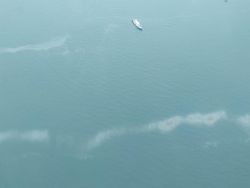 Cari Sriwijaya Air Lewat Udara, TNI AU Temukan Tumpahan Minyak di Laut