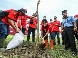 PDIP Surabaya Tanam Pohon dan Sayur Sebagai Wujud Sayang Lingkungan