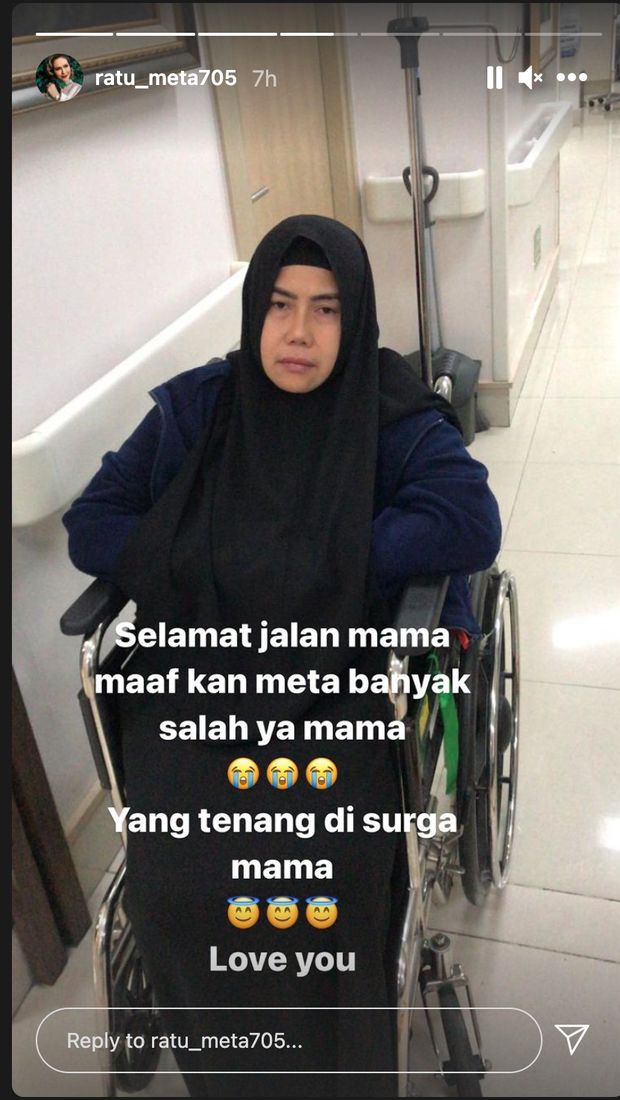 Tangkapan layar unggahan Insta Stories Ratu Meta
