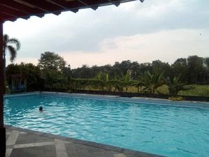 Bukan Bali, Ini Resort Mepet Sawah di Solo