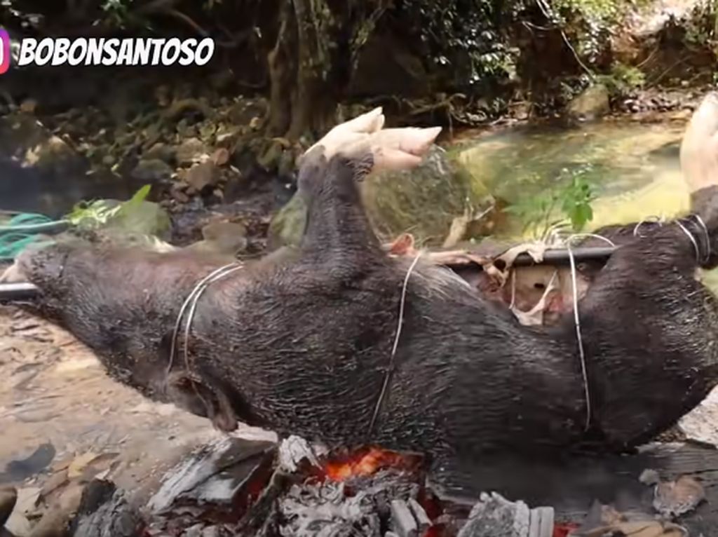 Nyeleneh! YouTuber Masak Babi Hutan Pakai Bumbu Micin 3 Bungkus