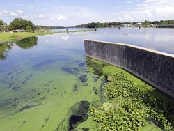 Tak Cuma di Kyoto, Sepertiga Sungai di Amerika Berubah Warna Sejak 1984