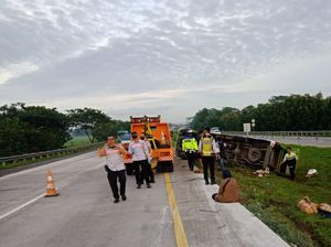 Buntut Minibus Terguling di Cipali yang Telan Nyawa, Sopir Diperiksa!