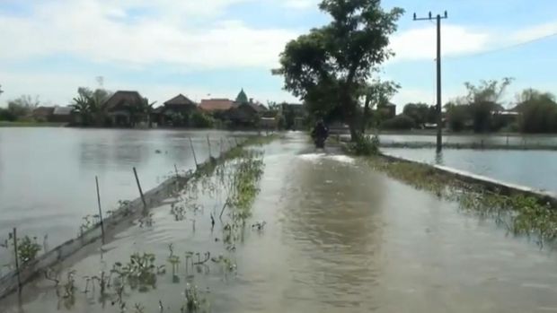 7.081 Hektar Tambak di Lamongan Terendam Banjir, Petani Pun Merugi