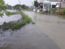 Ribuan Hektar Tambak Siap Panen di Lamongan Terendam Banjir, Petani Gigit Jari
