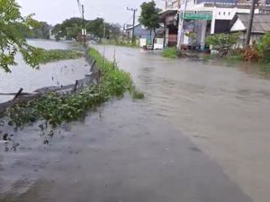 Ribuan Hektar Tambak Siap Panen di Lamongan Terendam Banjir, Petani Gigit Jari Ribuan Hektar Tambak Siap Panen di Lamongan Terendam Banjir, Petani Gigit Jari